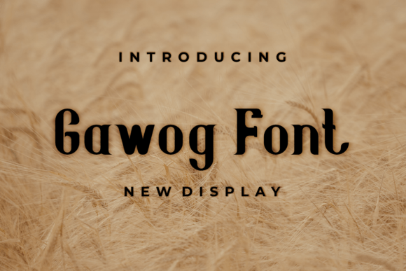 Gawog: A Display Font That Anchors Editorial Mood