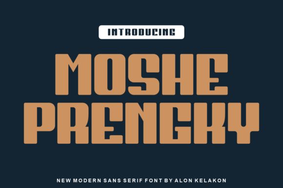 Moshe Prengky: A Bold Display Font for Digital Brand Impact
